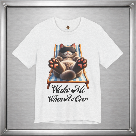 Wake Me When It’s Over — Professional Level Relaxing