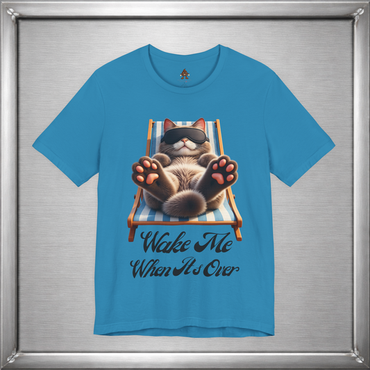 Wake Me When It’s Over — Professional Level Relaxing