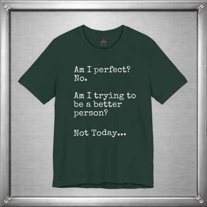 Am I perfect? - Not Today...