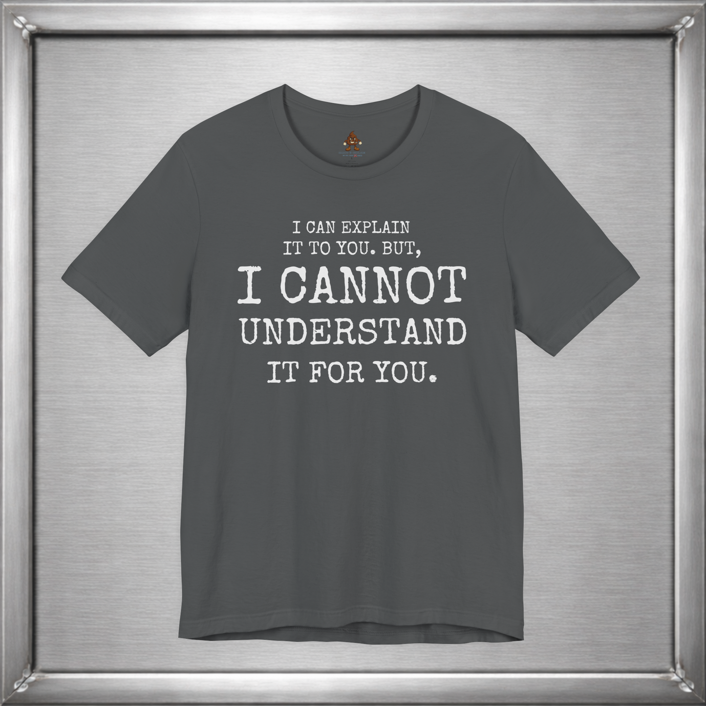 I Can Explain It To You, But I Cannot Understand It For You