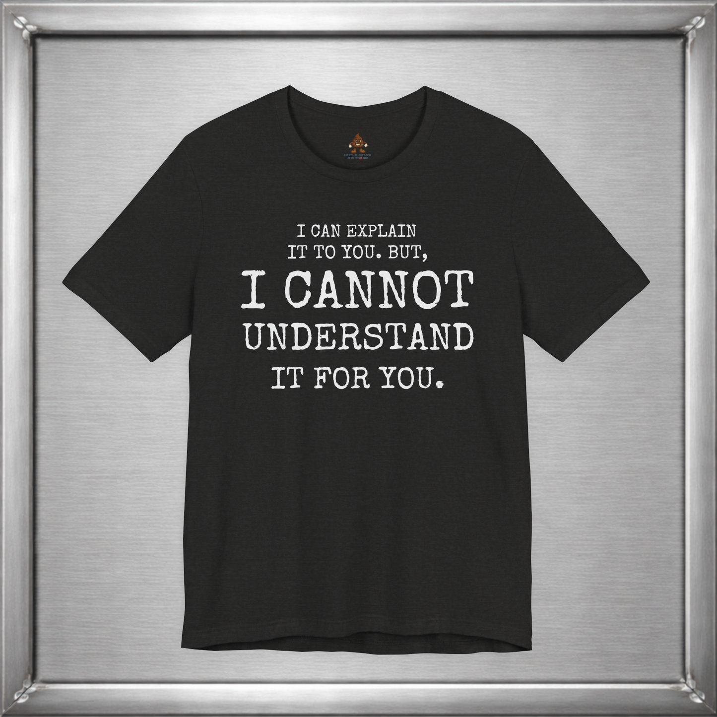 I Can Explain It To You, But I Cannot Understand It For You