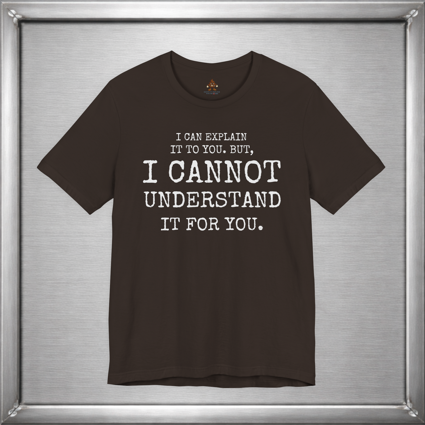 I Can Explain It To You, But I Cannot Understand It For You