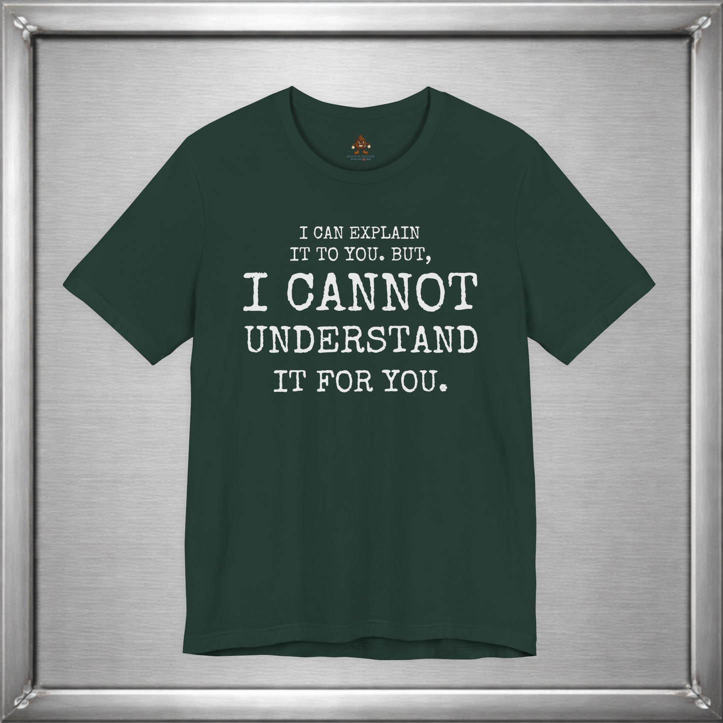 I Can Explain It To You, But I Cannot Understand It For You