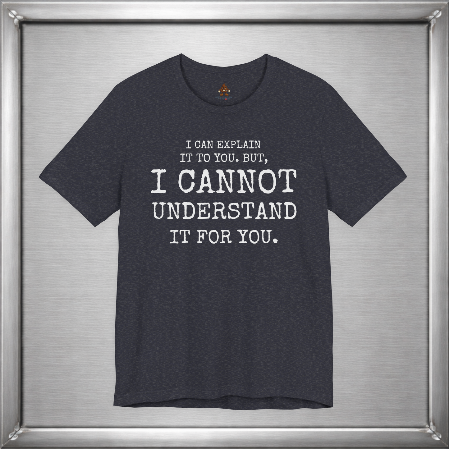 I Can Explain It To You, But I Cannot Understand It For You