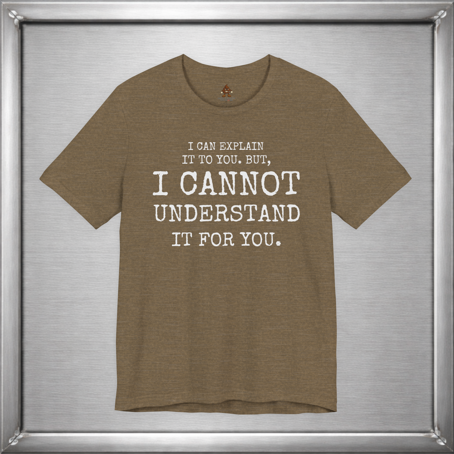 I Can Explain It To You, But I Cannot Understand It For You