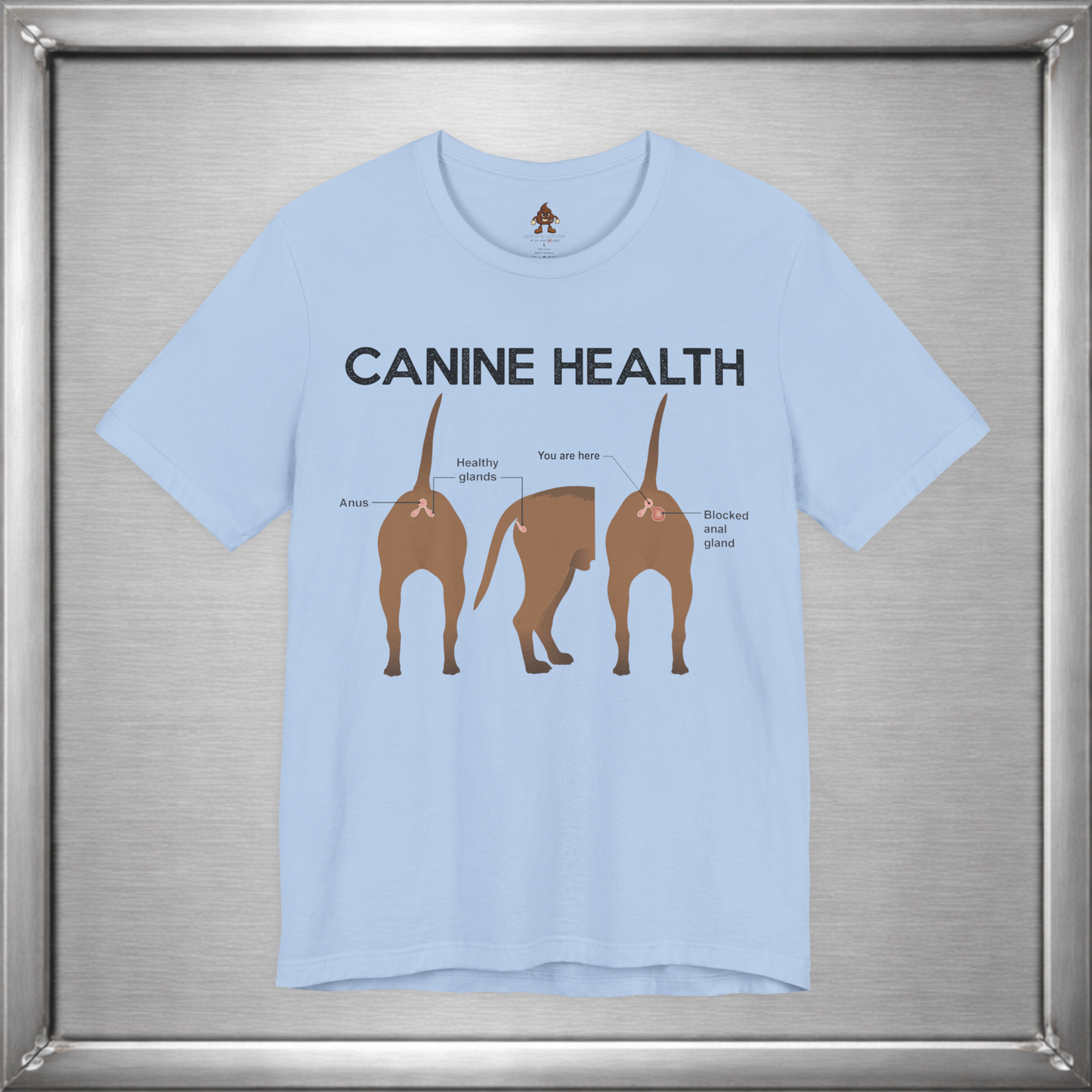 Canine Health: You Are Here