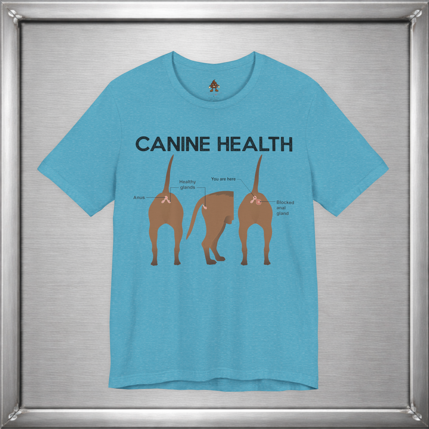 Canine Health: You Are Here