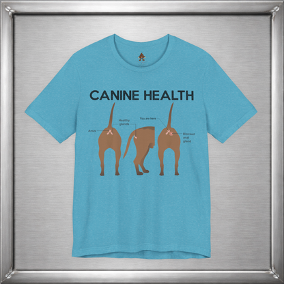 Canine Health: You Are Here
