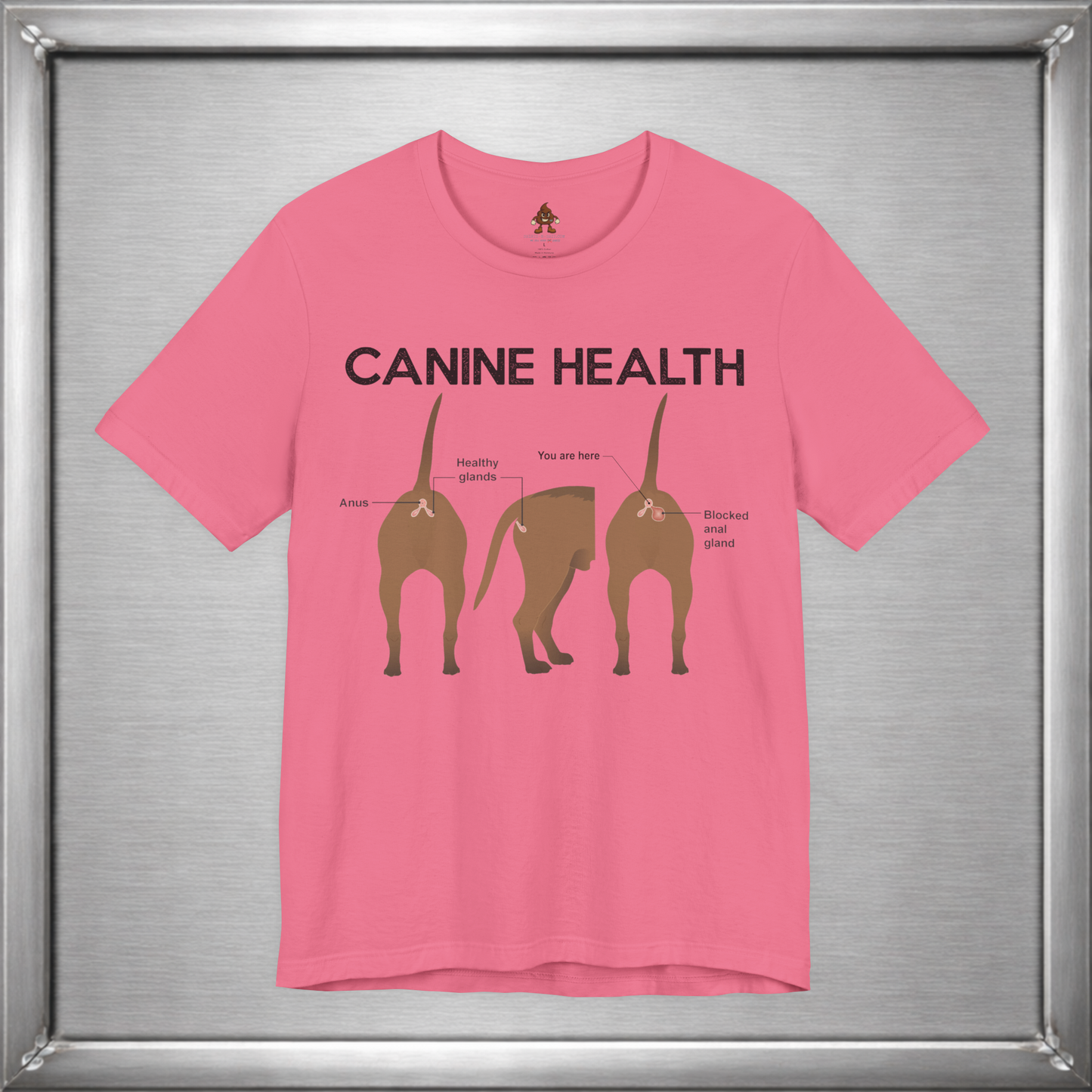 Canine Health: You Are Here