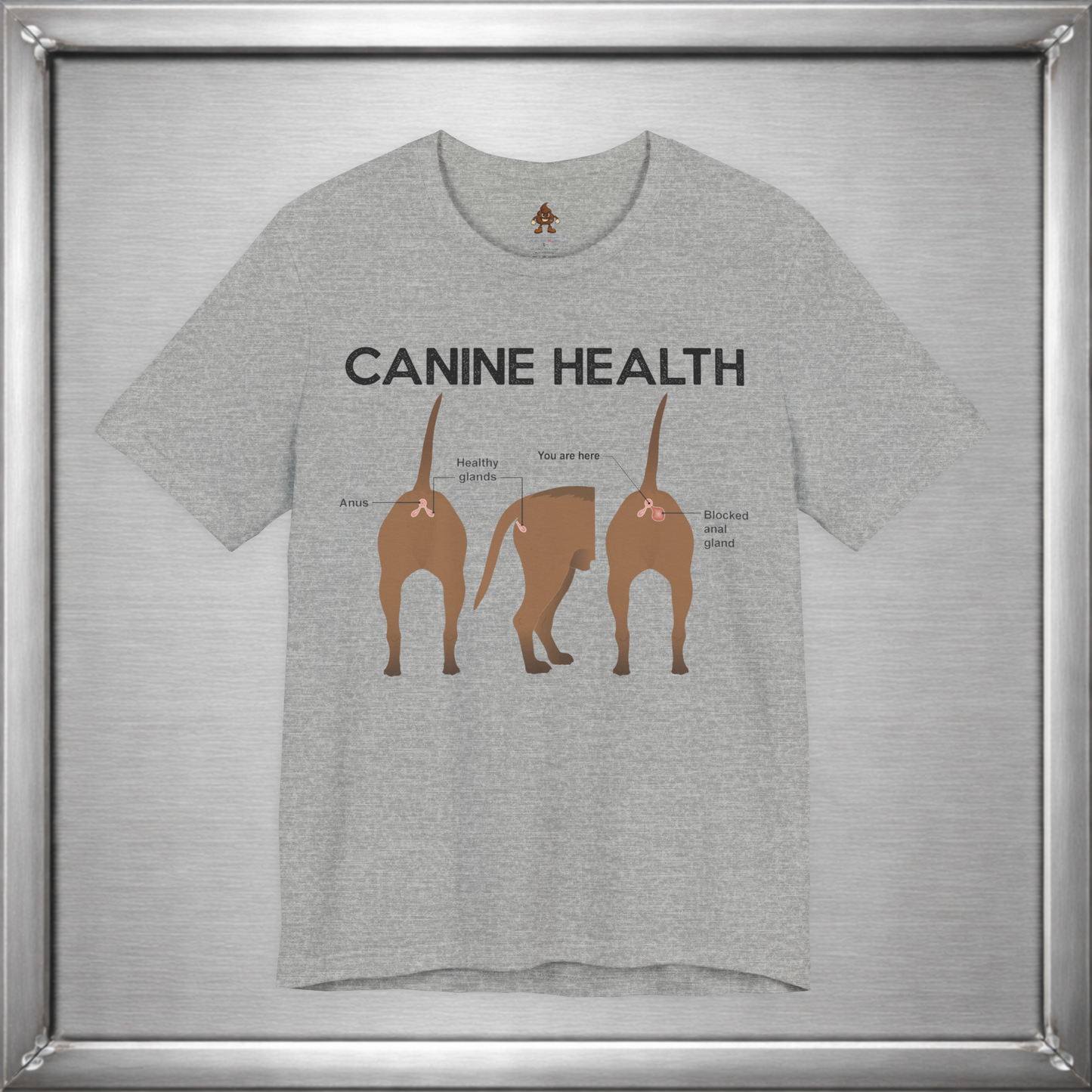 Canine Health: You Are Here