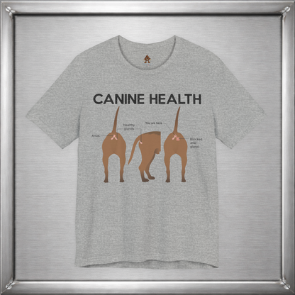 Canine Health: You Are Here