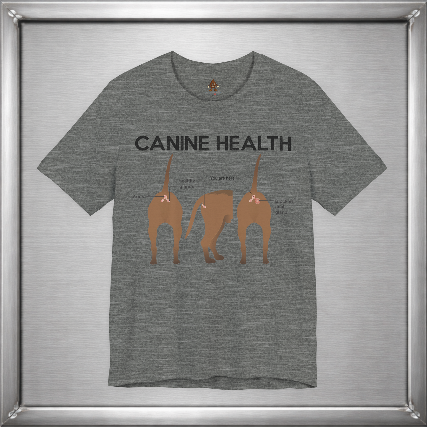 Canine Health: You Are Here