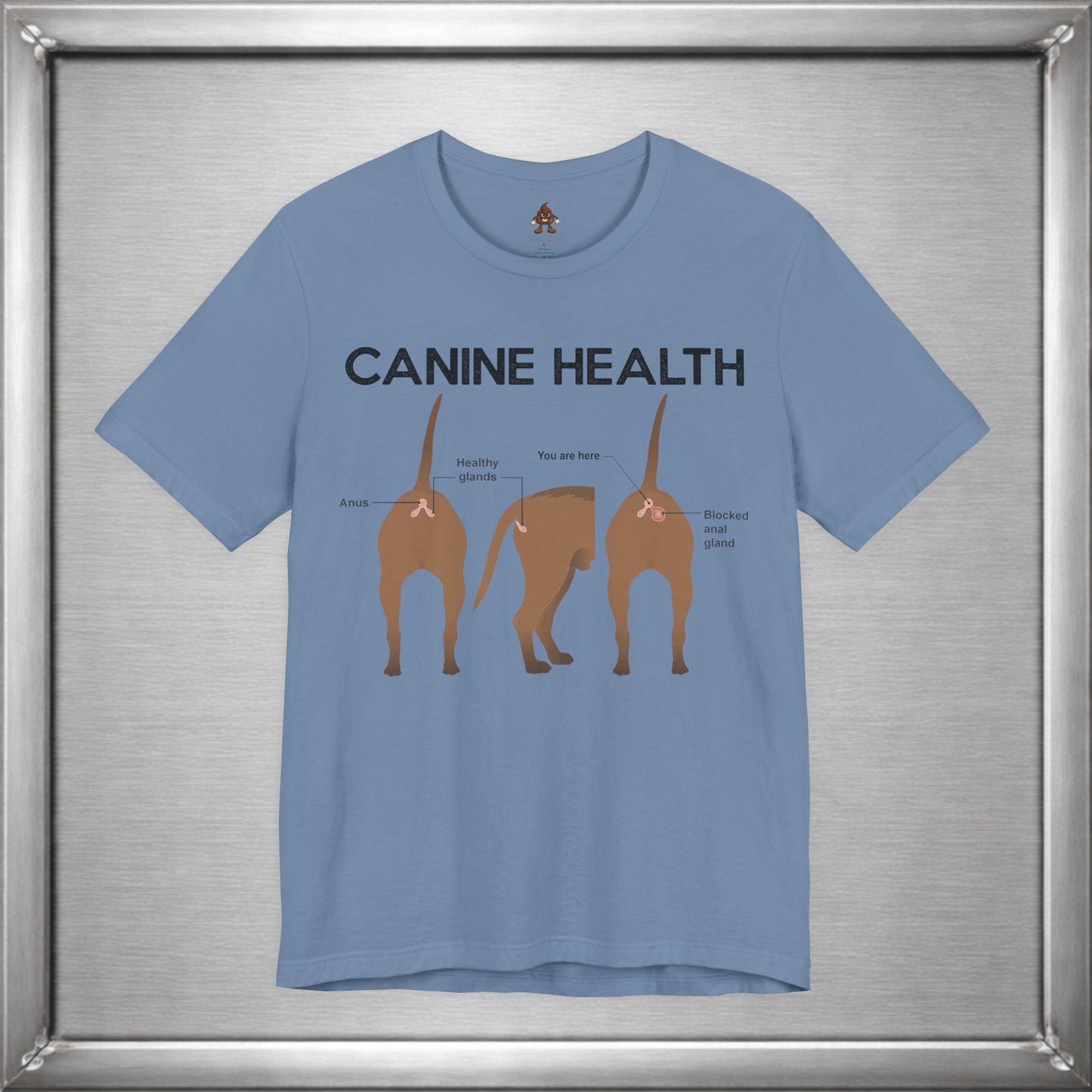 Canine Health: You Are Here