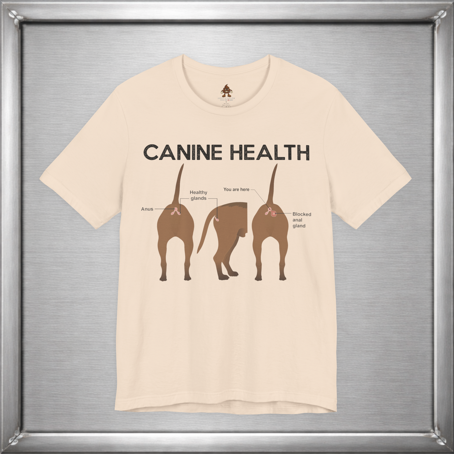 Canine Health: You Are Here