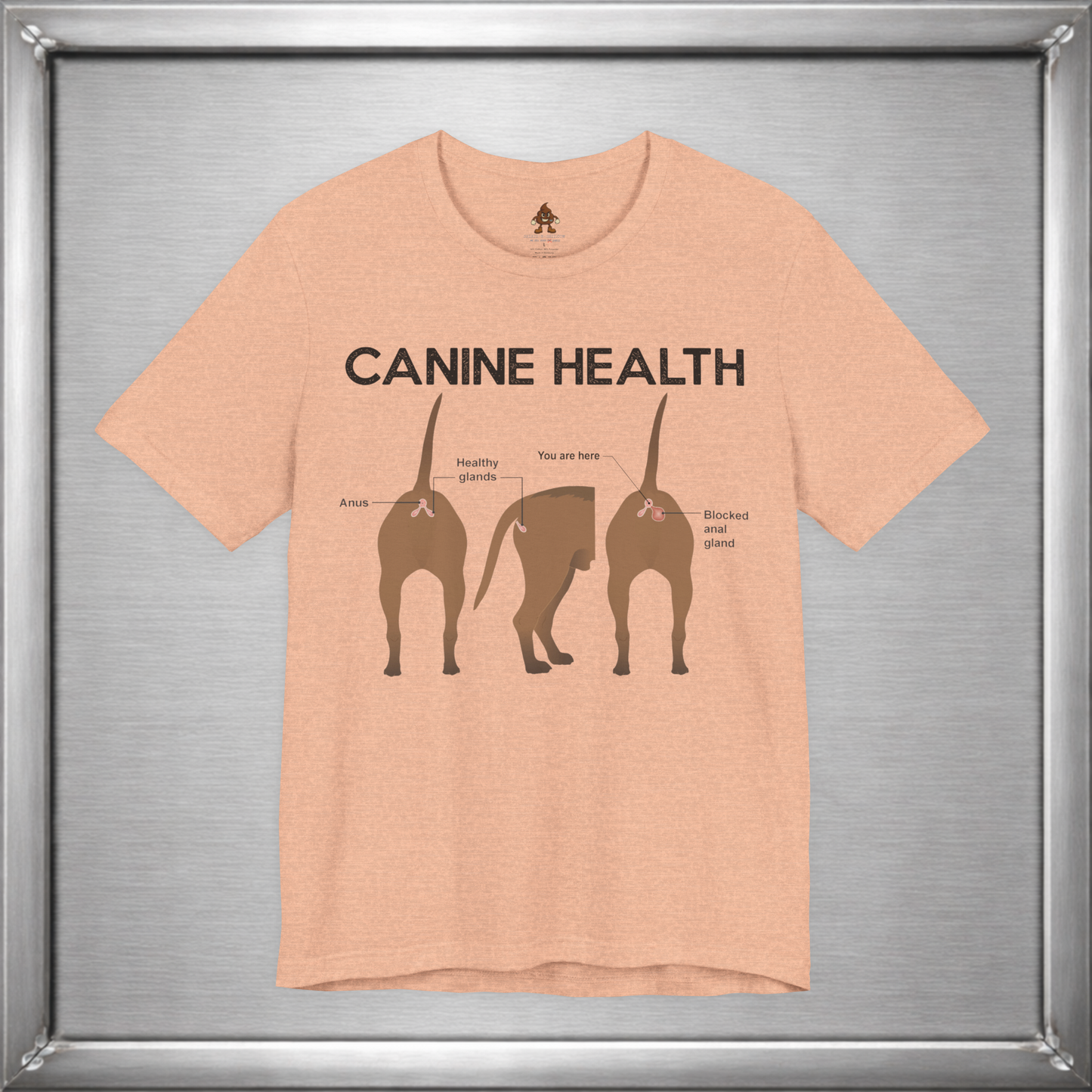 Canine Health: You Are Here