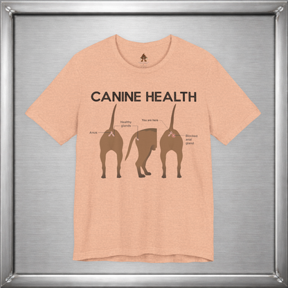 Canine Health: You Are Here