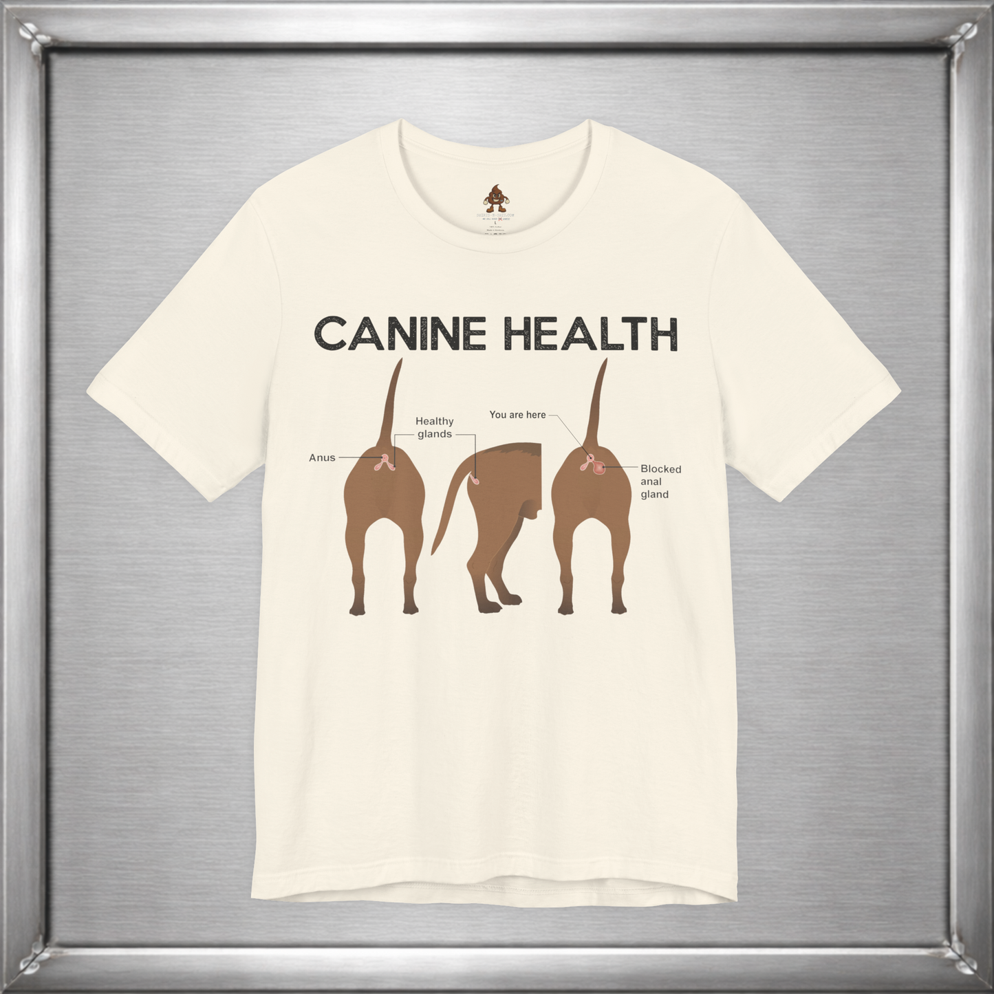 Canine Health: You Are Here