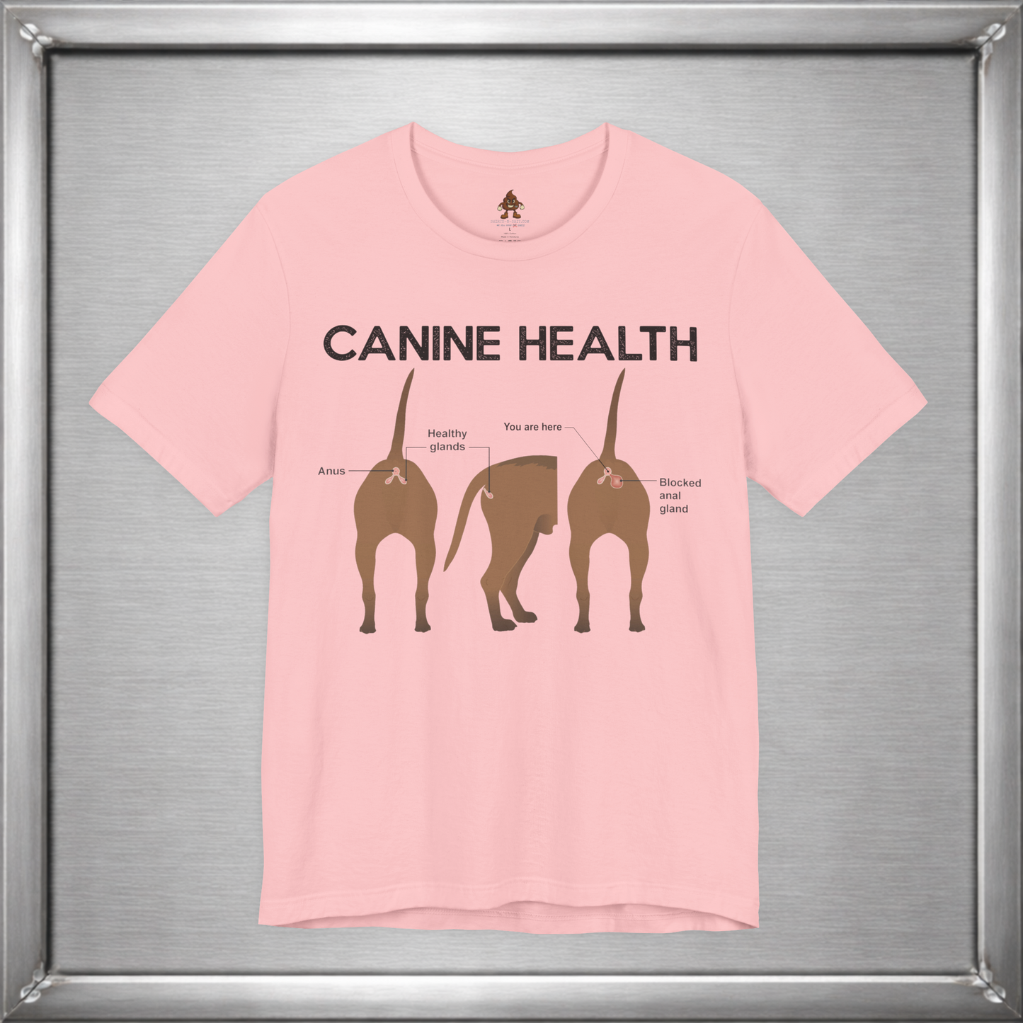 Canine Health: You Are Here