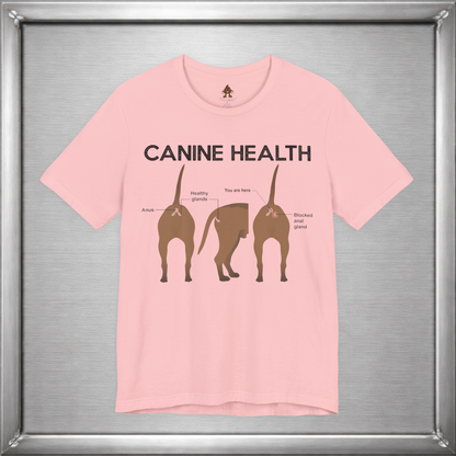 Canine Health: You Are Here