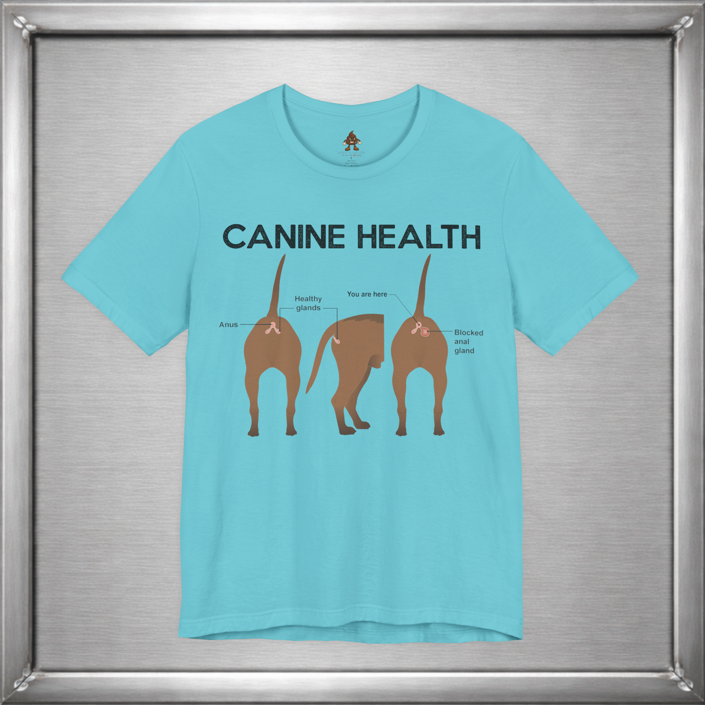 Canine Health: You Are Here