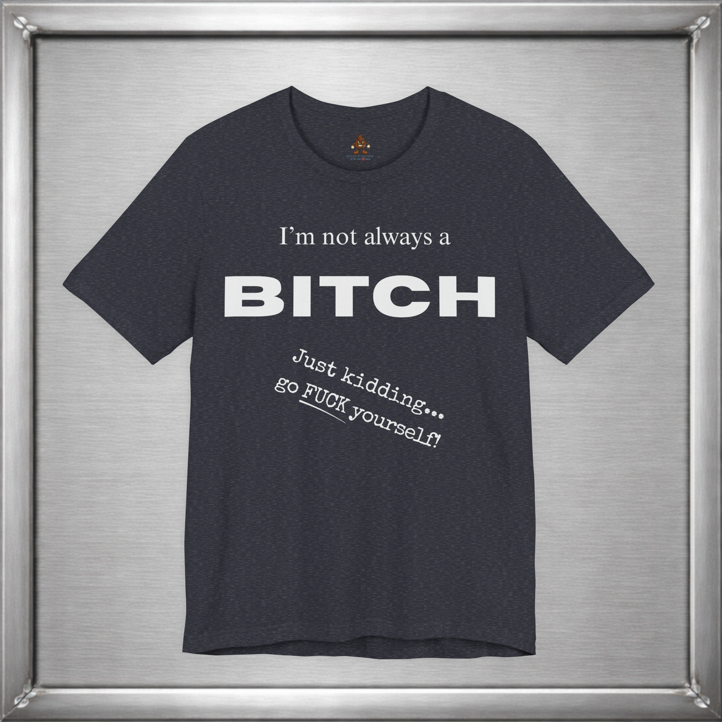 I’m Not Always a Bitch Funny Sarcasm T-Shirt